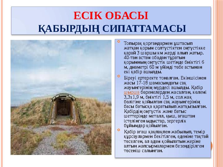 ЕСІК ОБАСЫ ҚАБЫРДЫҢ СИПАТТАМАСЫ  Топырақ қорғандармен ұштасып жатқан қорым солтүстіктен оңтүстікке қарай 3 шаршы км же
