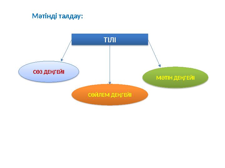ТІЛІ Мәтінді талдау: СӨЗ ДЕҢГЕЙІ СӨЙЛЕМ ДЕҢГЕЙІ МӘТІН ДЕҢГЕЙІ
