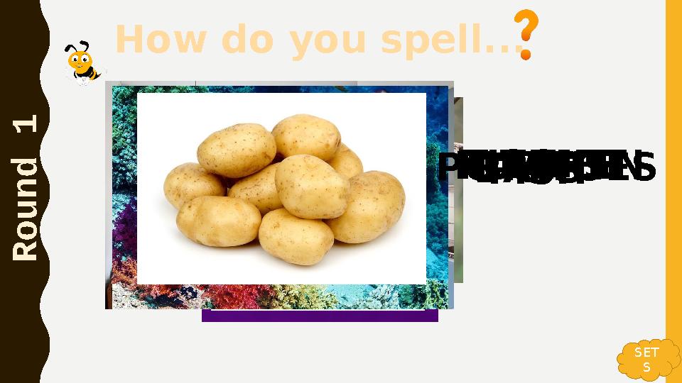 How do you spell... R o u n d 1 SLIPPERSBATSPURPLET-SHIRTKITCHENFISHPOTATOES SET S How do you spell... R o u n d 1 SLIPPERSBATSPURPLET-SHIRTKITCHENFISHPOTATOES SET S