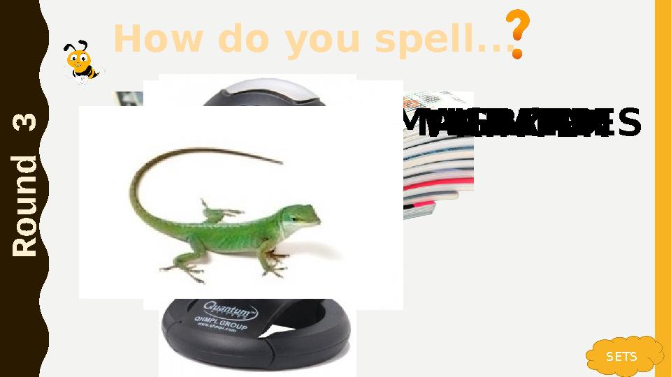 How do you spell... R o u n d 3 SETS MAGAZINESPRINTERWEBCAMLIZARD How do you spell... R o u n d 3 SETS MAGAZINESPRINTERWEBCAMLIZARD