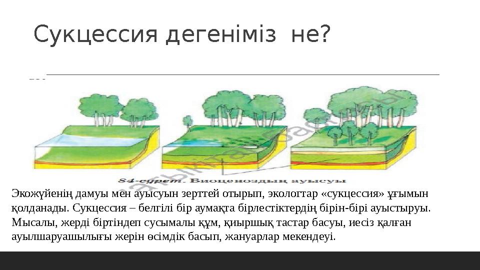 Сукцессия дегеніміз не? Экожүйенің дамуы мен ауысуын зерттей отырып, экологтар «сукцессия» ұғымын қолданады. Сукцессия – белгі