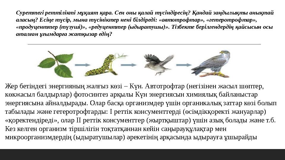 Суреттегі реттілікті мұқият қара. Сен оны қалай түсіндіресің? Қандай заңдылықты анықтай аласың? Есіңе түсір, мына түсініктер не