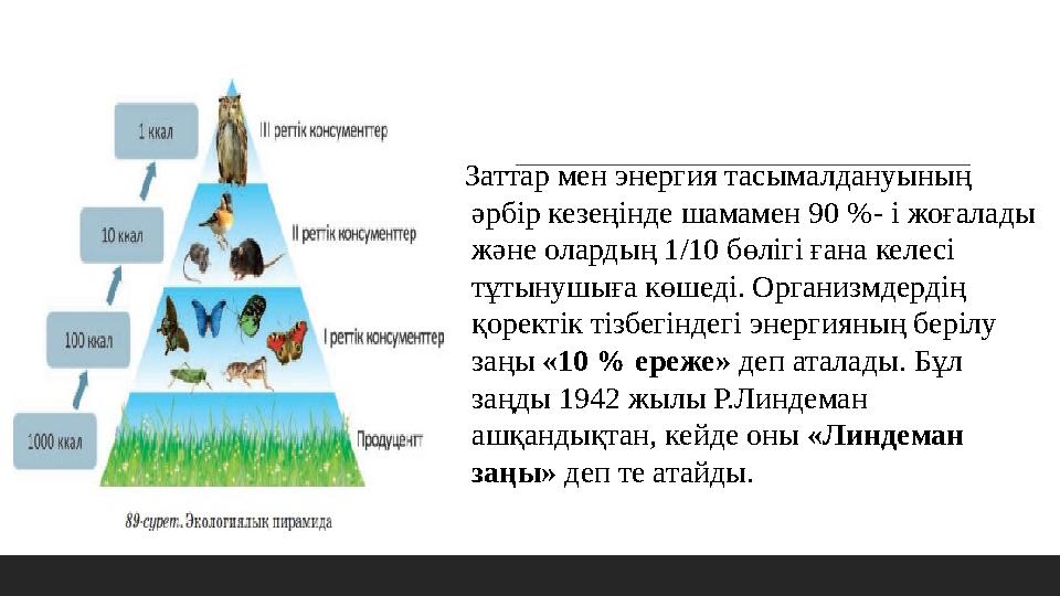 Заттар мен энергия тасымалдануының әрбір кезеңінде шамамен 90 %- і жоғалады және олардың 1/10 бөлігі ғана келесі тұтынушыға