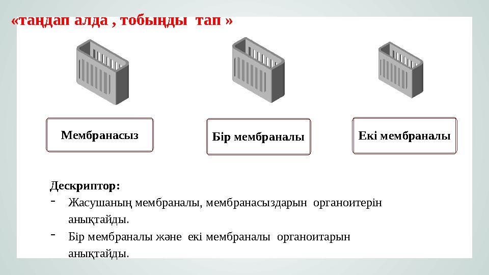 «таңдап алда , тобыңды тап » Дескриптор: –Жасушаның мембраналы, мембранасыздарын органоитерін анықтайды. –Бір мембраналы жә