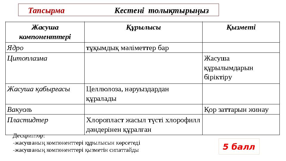 Тапсырма №3 Кестені толықтыр Жасуша компоненттері Құрылысы Қызметі Ядро тұқымдық мәліметтер бар Цитоплазма Жасуша құрылымдар