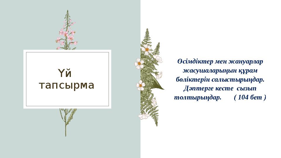 Үй тапсырма Өсімдіктер мен жануарлар жасушаларыңын құрам бөліктерін салыстырыңдар. Дәптерге кесте сызып толтырыңдар.