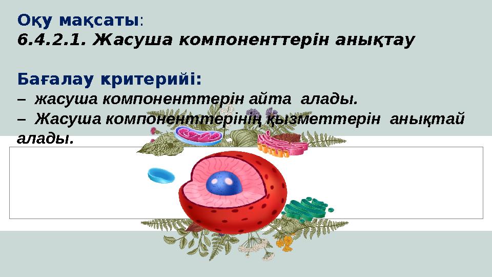 Оқу мақсаты: 6.4.2.1. Жасуша компоненттерін анықтау Бағалау критерийі: –жасуша компоненттерін айта алады. –Жасуша компоненттер