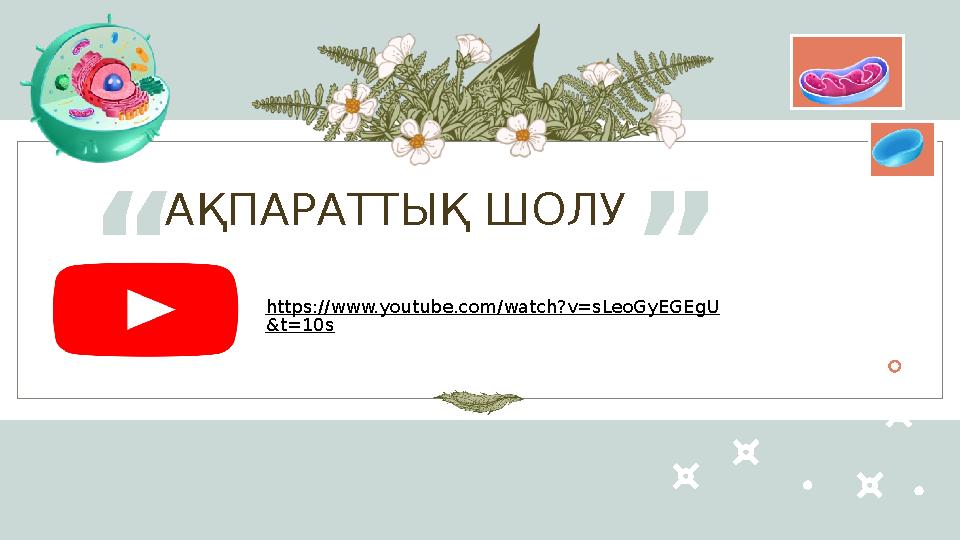 АҚПАРАТТЫҚ ШОЛУ “ ” https://www.youtube.com/watch?v=sLeoGyEGEgU &t=10s