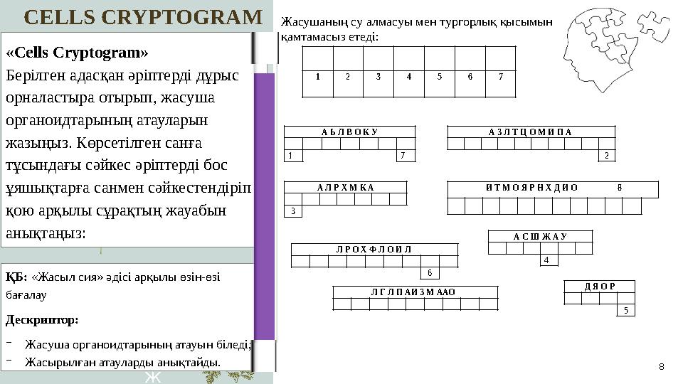 Presentation title 8 «Cells Cryptogram» Берілген адасқан әріптерді дұрыс орналастыра отырып, жасуша органоидтарының атауларын