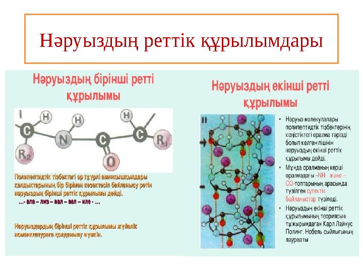 Нәруыздың реттік құрылымдары