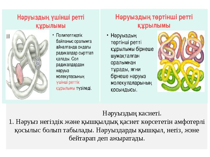 Нәруыздың касиеті. 1. Нәруыз негіздік және қышқылдық қасиет көрсететін амфотерлі қосылыс болып т