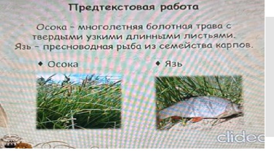 Щелкните, чтобы изменить стили текста образца слайда