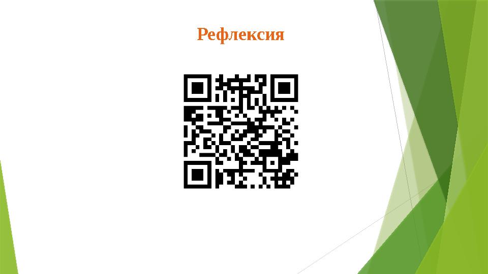 Рефлексия