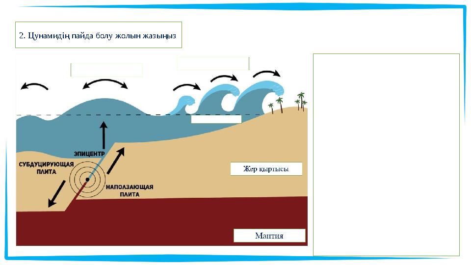 2. Цунамидің пайда болу жолын жазыңыз