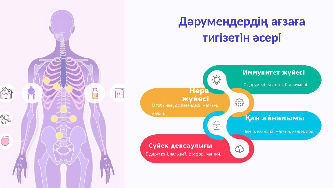 Иммунитет жүйесі С дәрумені, мырыш, D дәрумені. Қан айналымы Темір, кальций, магний, калий, йод. Нерв жүйесі B тобының дәруменд