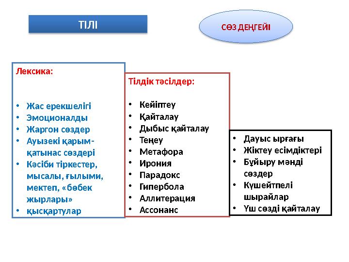 ТІЛІ СӨЗ ДЕҢГЕЙІ Лексика: •Жас ерекшелігі •Эмоционалды •Жаргон сөздер •Ауызекі қарым- қатынас сөздері •Кәсіби тіркестер, мыса