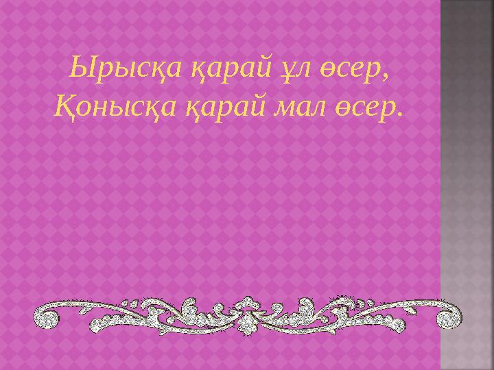 Ырысқа қарай ұл өсер, Қонысқа қарай мал өсер.