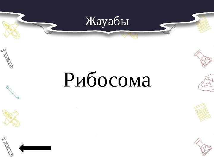 Жауабы Рибосома