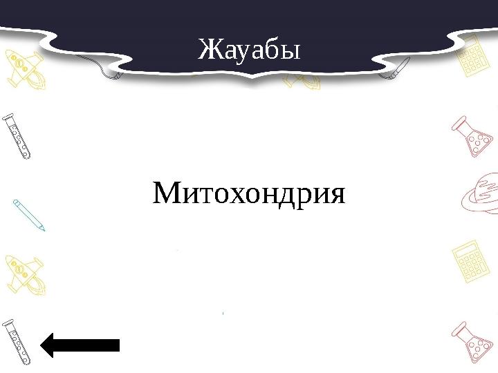 Жауабы Митохондрия