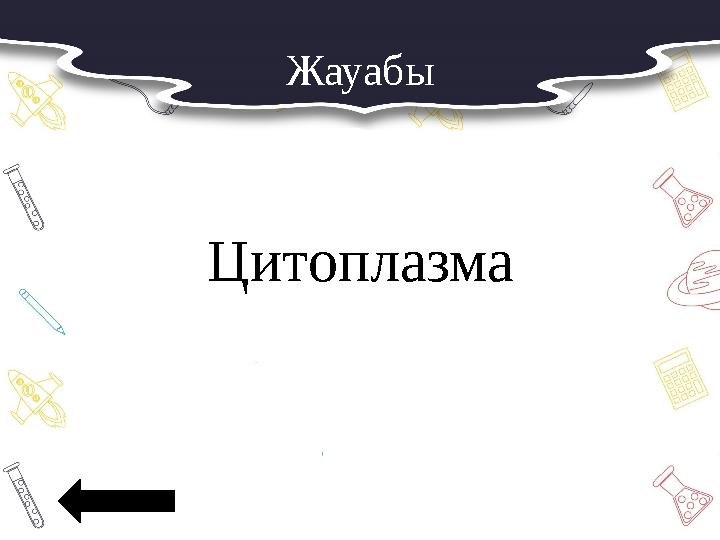 Жауабы Цитоплазма