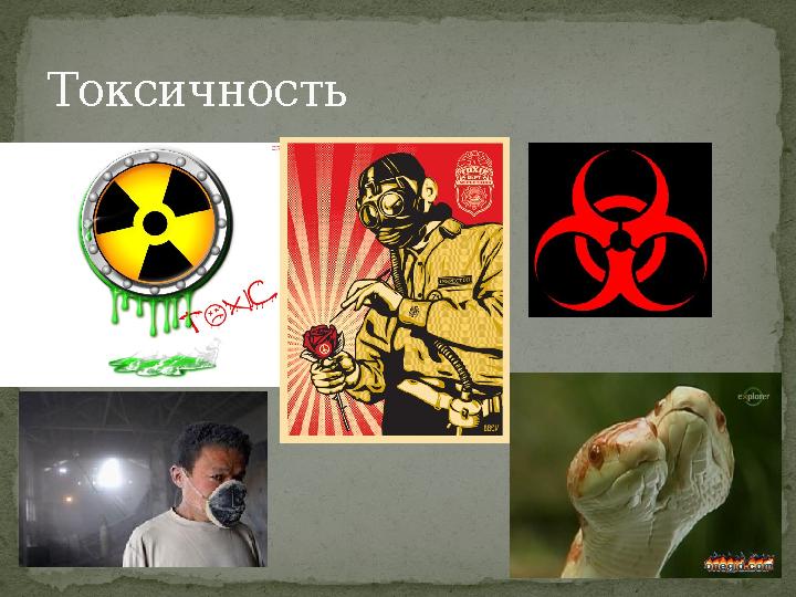 Токсичность