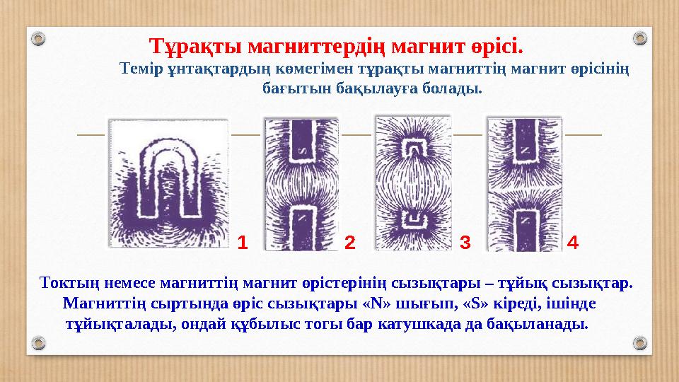 Тұрақты магниттердің магнит өрісі. Темір ұнтақтардың көмегімен тұрақты магниттің магнит өрісінің бағытын бақылауға болады. То