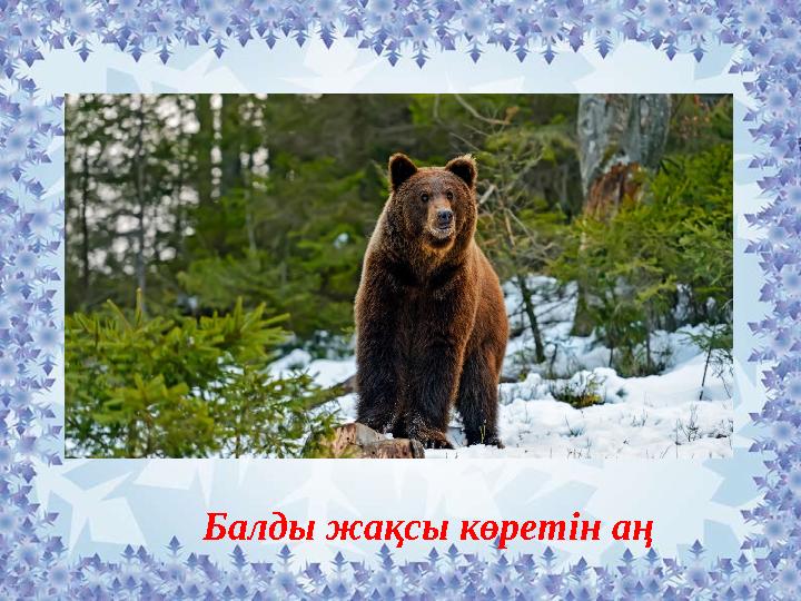 Балды жақсы көретін аң