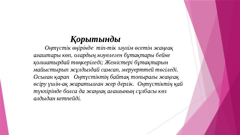 Қорытынды Оңтүстік өңірінде тіп-тік зәулім өсетін жаңғақ ағаштары көп, олардың мәуелеген бұт