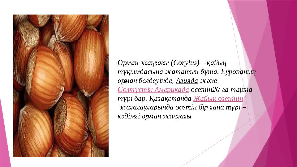 Орман жаңғағы (Corylus) – қайың тұқымдасына жататын бұта. Еуропаның орман белдеуінде, Азияда және Солтүстік