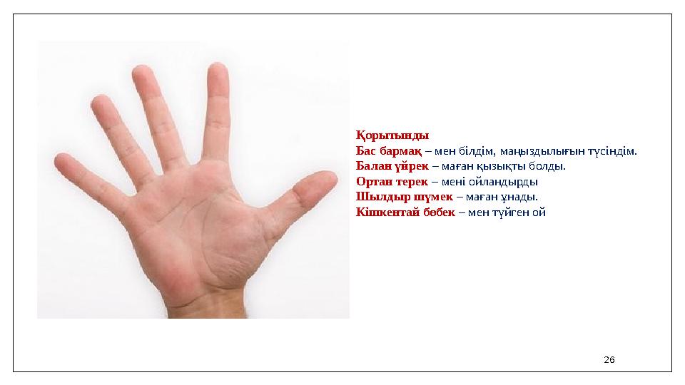 26 Қорытынды Бас бармақ – мен білдім, маңыздылығын түсіндім. Балан үйрек – маған қызықты болды. Ортан терек – мені ойландырды Шы