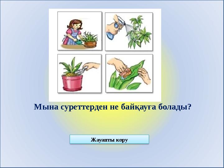 Жауапты көру Мына суреттерден не байқауға болады?