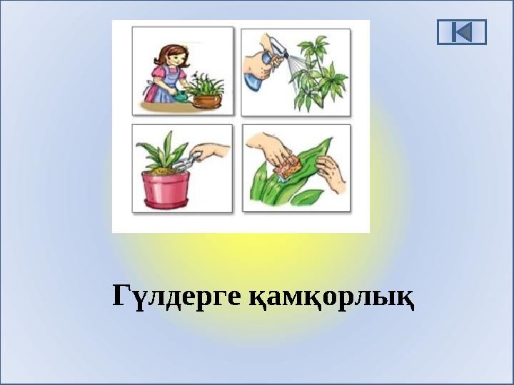 Гүлдерге қамқорлық