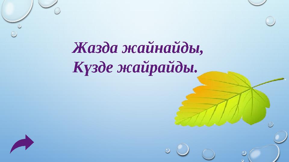 Жазда жайнайды, Күзде жайрайды. Жауабы