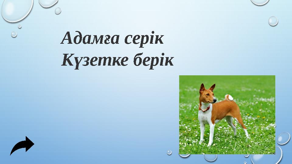 Адамға серік Күзетке берік Жауабы