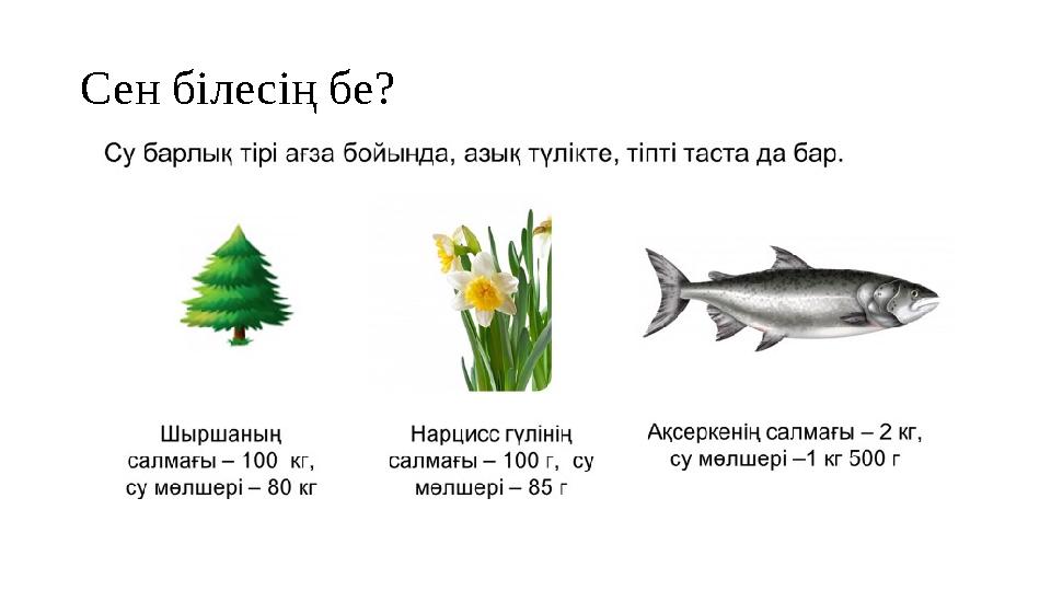 Сен білесің бе?