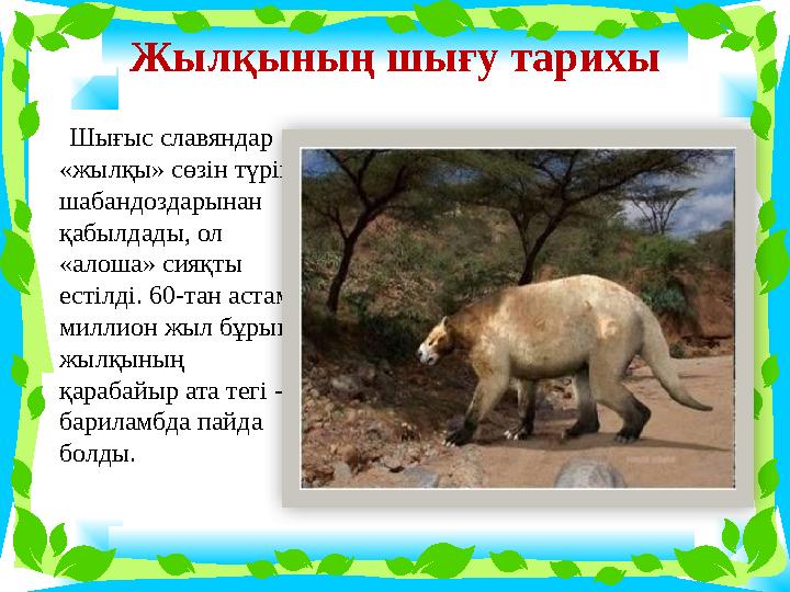 Жылқының шығу тарихы Шығыс славяндар «жылқы» сөзін түрік шабандоздарынан қабылдады, ол «алоша» сияқты естілді. 60-тан Жылқының шығу тарихы Шығыс славяндар «жылқы» сөзін түрік шабандоздарынан қабылдады, ол «алоша» сияқты естілді. 60-тан
