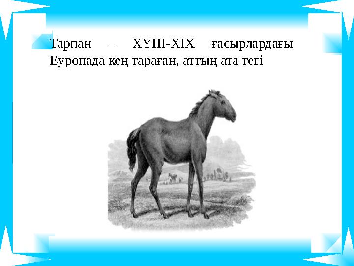 Тарпан – ХҮІІІ-ХІХ ғасырлардағы Еуропада кең тараған, аттың ата тегі Тарпан – ХҮІІІ-ХІХ ғасырлардағы Еуропада кең тараған, аттың ата тегі