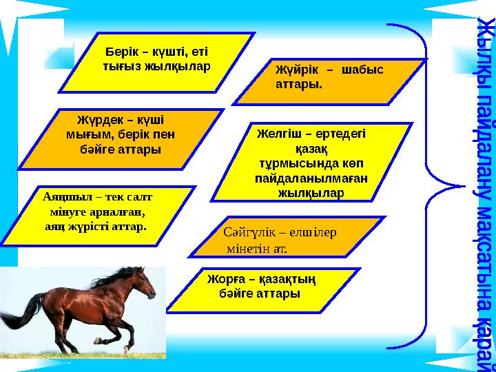 Жорға – қазақтың бәйге аттары Жүрдек – күші мығым, берік пен бәйге аттары Аяңшыл – тек салт мінуге арналған, аяң жүрісті а Жорға – қазақтың бәйге аттары Жүрдек – күші мығым, берік пен бәйге аттары Аяңшыл – тек салт мінуге арналған, аяң жүрісті а