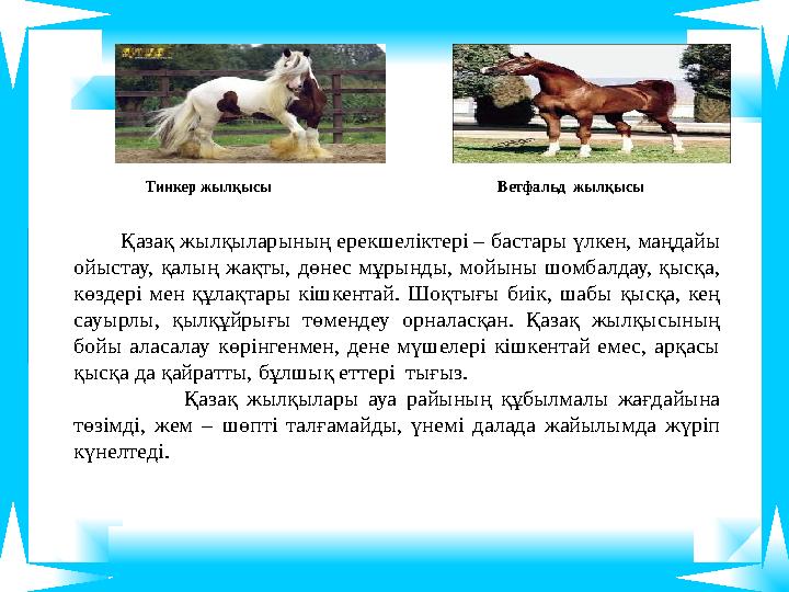 Қазақ жылқыларының ерекшеліктері – бастары үлкен, маңдайы ойыстау, қалың жақты, дөнес мұрынды, мойыны шомбалдау, қысқа, Қазақ жылқыларының ерекшеліктері – бастары үлкен, маңдайы ойыстау, қалың жақты, дөнес мұрынды, мойыны шомбалдау, қысқа,