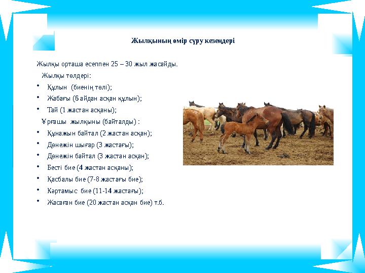 Жылқының өмір сүру кезеңдері Жылқы орташа есеппен 25 – 30 жыл жасайды. Жылқы төлдері: • Құлын (биенің төлі); • Жабағы (6 а Жылқының өмір сүру кезеңдері Жылқы орташа есеппен 25 – 30 жыл жасайды. Жылқы төлдері: • Құлын (биенің төлі); • Жабағы (6 а