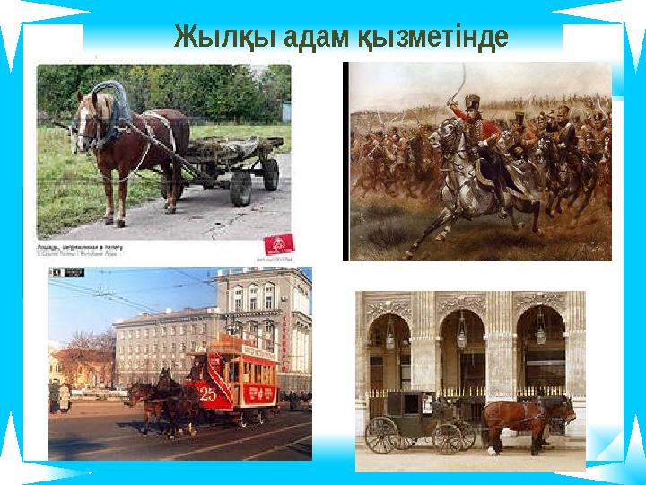 Жыл ы адам ызметінде қ қ Жыл ы адам ызметінде қ қ