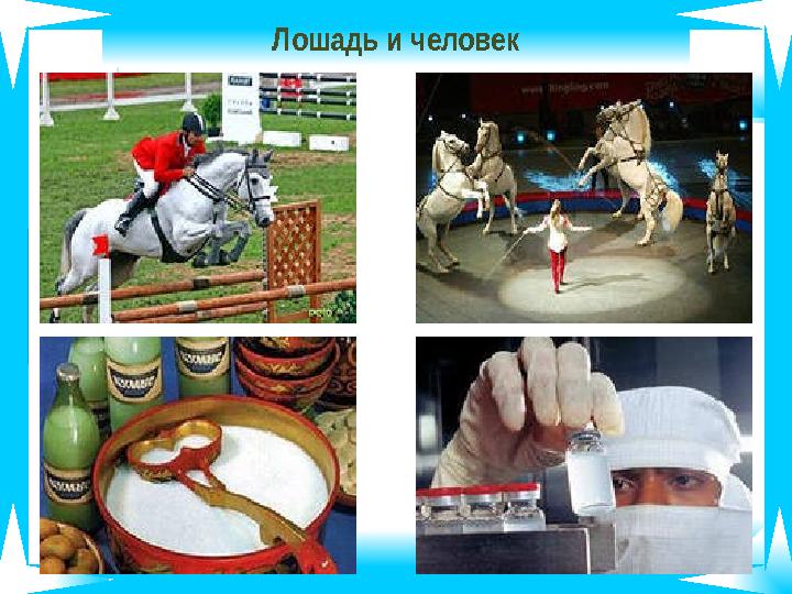 Лошадь и человек Лошадь и человек
