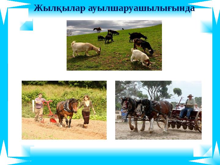 Жылқылар ауылшаруашылығында Жылқылар ауылшаруашылығында