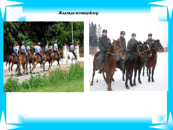 Жылқы полицейлер Жылқы полицейлер