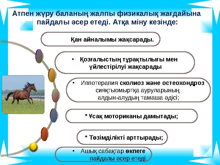 * Төзімділікті арттырады; •Иппотерапия сколиоз және остеохондроз сияқтыомыртқа ауруларының алдын-алудың тамаша әдісі; •Қозғалы * Төзімділікті арттырады; •Иппотерапия сколиоз және остеохондроз сияқтыомыртқа ауруларының алдын-алудың тамаша әдісі; •Қозғалы