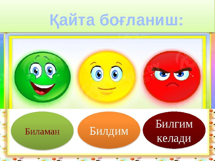 Қайта боғланиш: Биламан Билдим Билгим келади