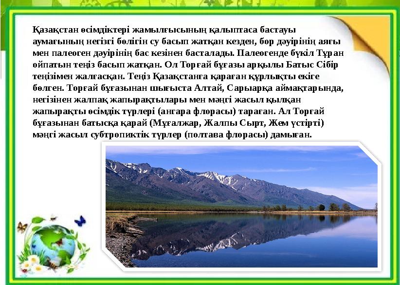 Қазақстан өсімдіктері жамылғысының қалыптаса бастауы аумағының негізгі бөлігін су басып жатқан кезден, бор дәуірінің аяғы мен