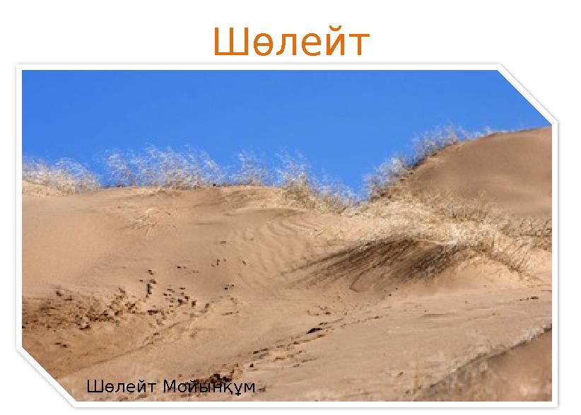 Шөлейт Мойынқұм Шөлейт