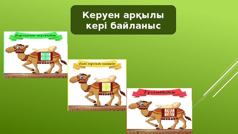 Керуен арқылы кері байланыс