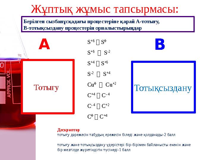 Берілген сызбанұсқадағы процестеріне қарай А-тотығу, В-тотықсыздану процестерін орналыстырыңдар Жұптық жұмыс тапсырмасы: То